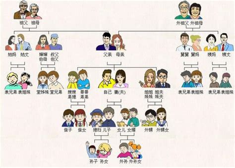 母舅是誰|家族輩分稱謂表